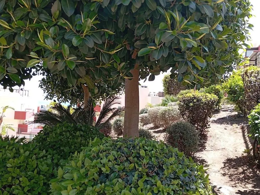 Apartment Ferienwohnung Atico Benalmadena Balam-Ui Sawon Spanien