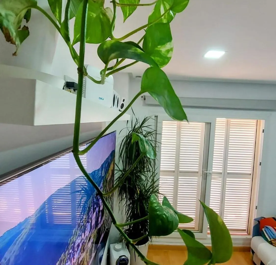 Apartment Ferienwohnung Atico Benalmadena Balam-Ui Sawon Spanien